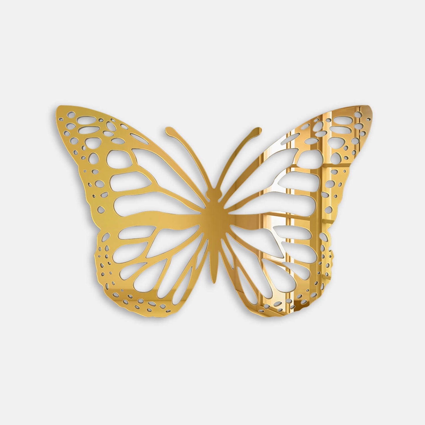 Butterfly Acrylic Wall Art M01S