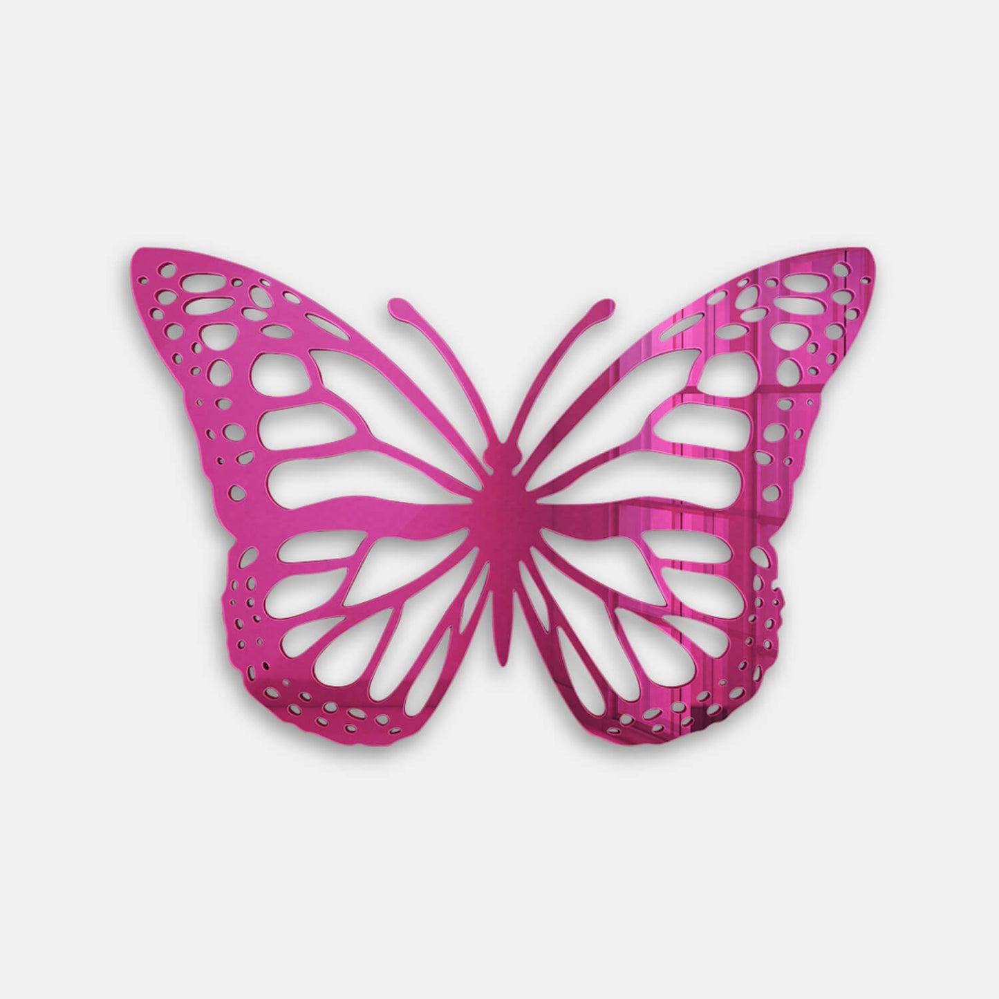 Butterfly Acrylic Wall Art M01S
