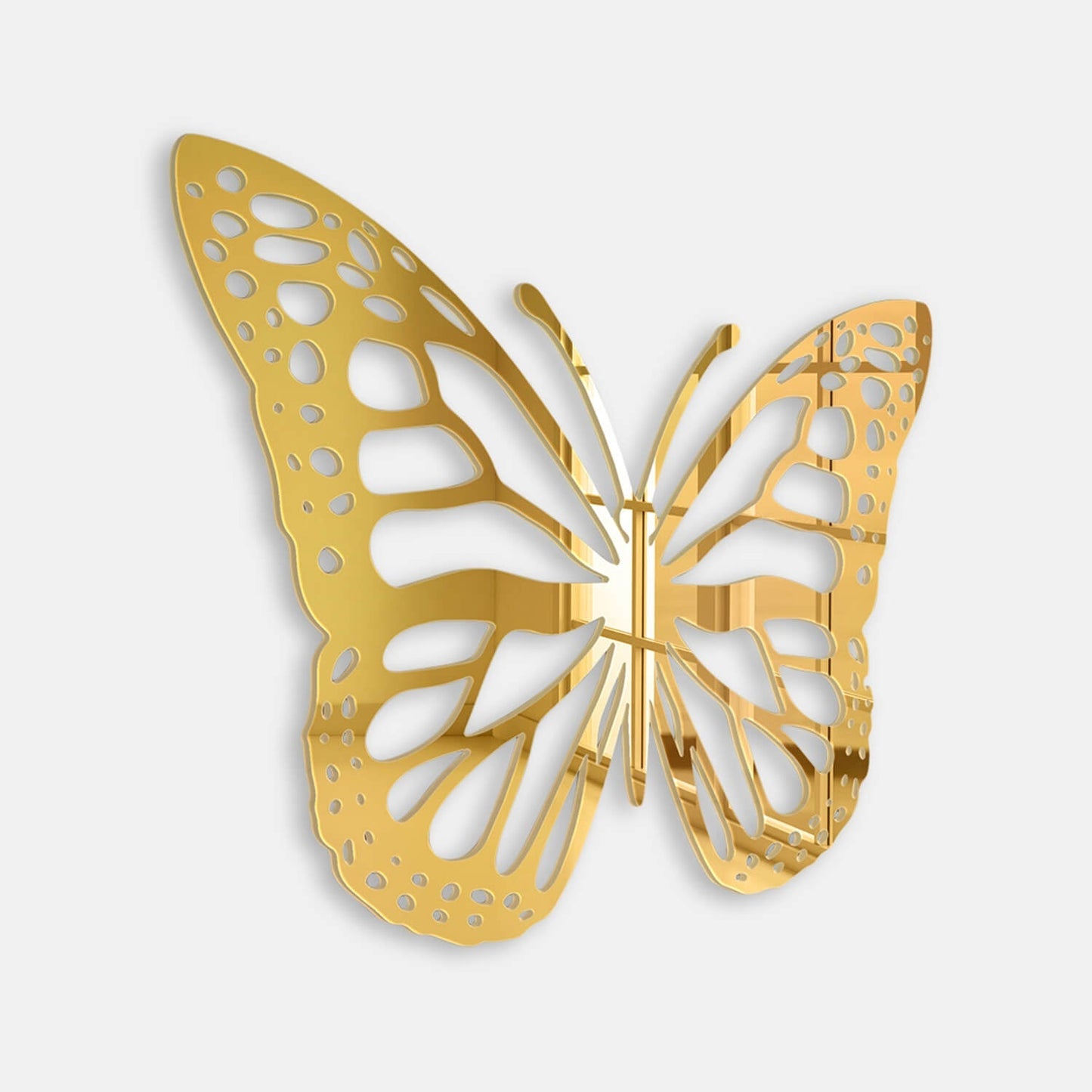Butterfly Acrylic Wall Art M01S