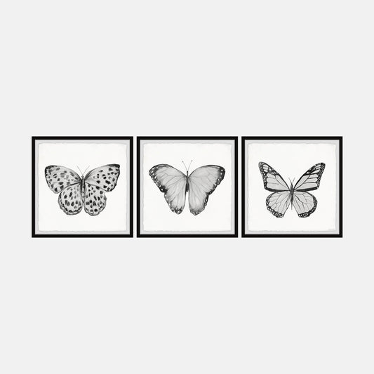 Butterfly Framed Art Set