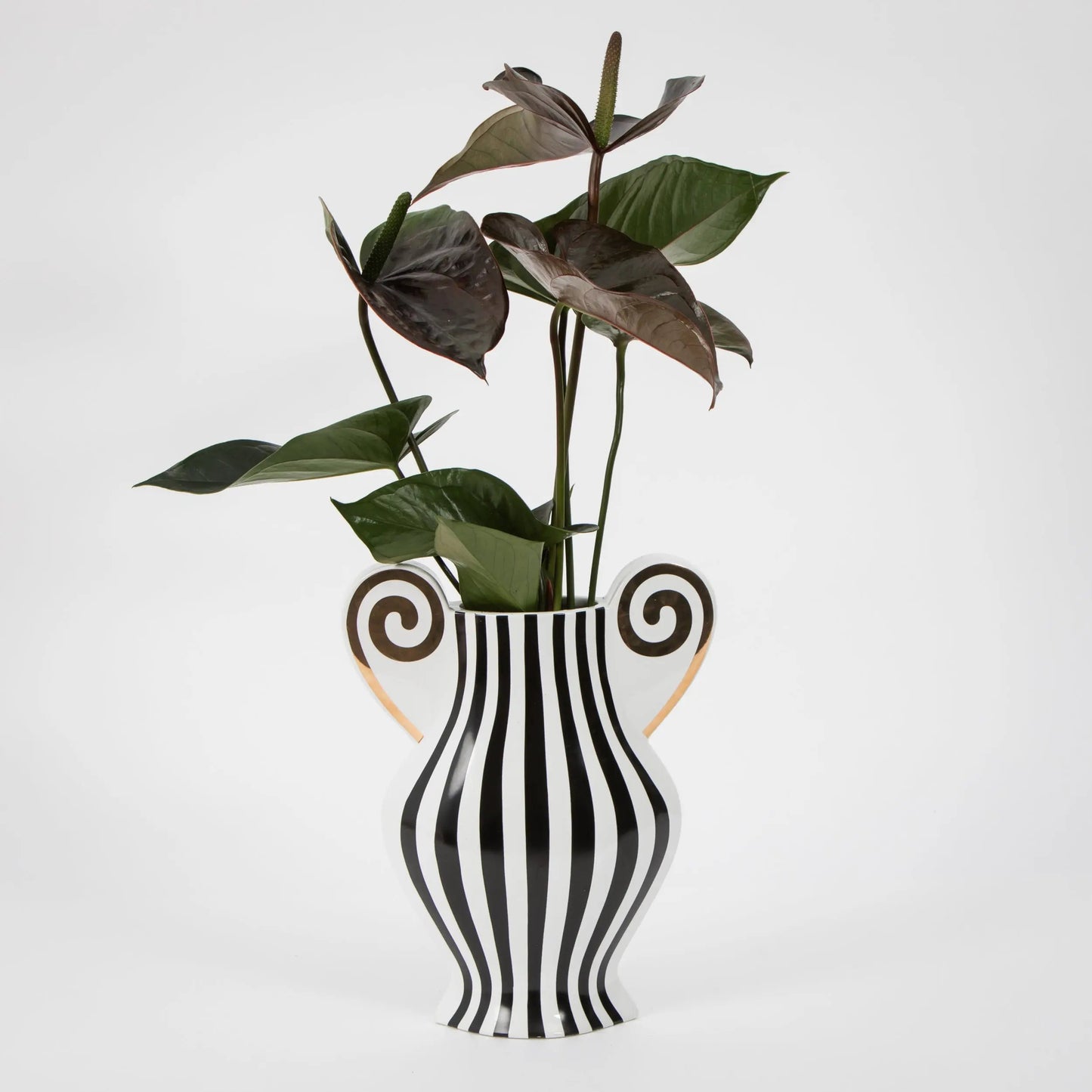 Olympia Ceramic Vase Urn