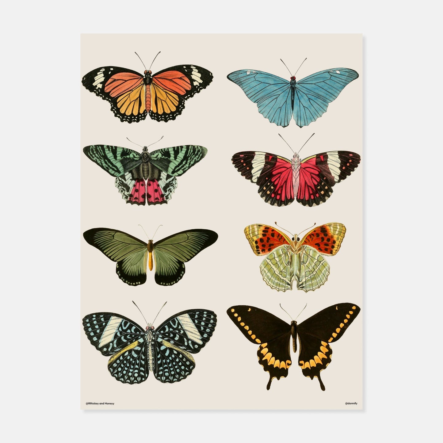 Vintage Butterflies Print by Whiskey and Honey