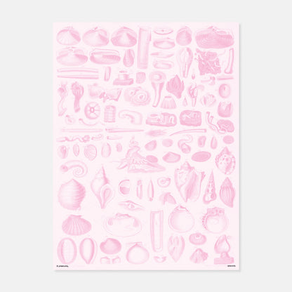 Seashells Print by Poppy.PNG