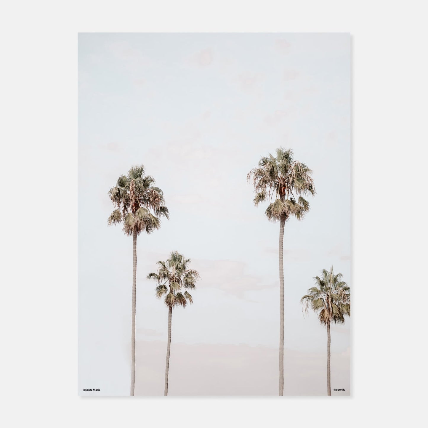 Palm Tree Sunset Print by Krista Mosakowski