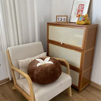 Tomato Cushion Pillow